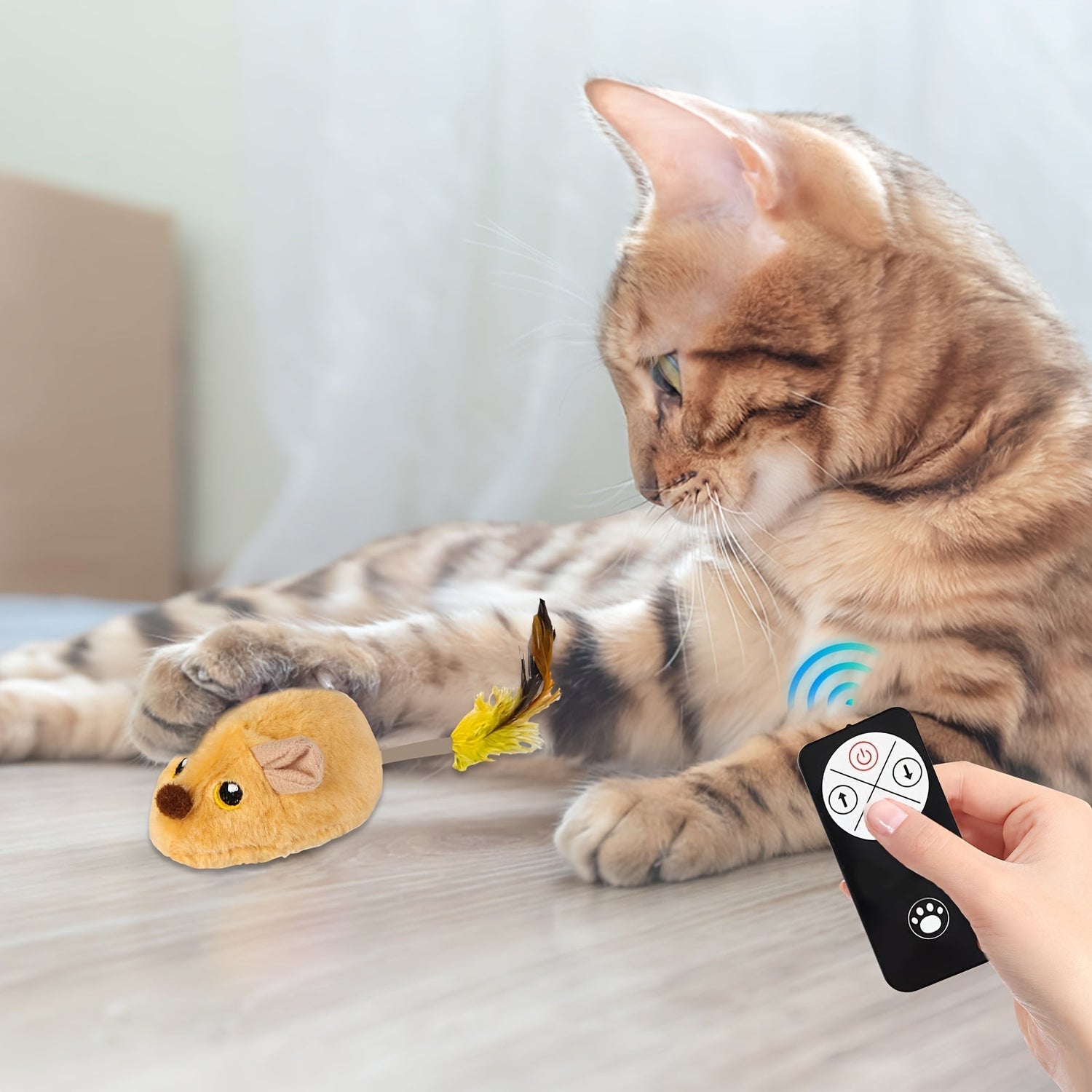 Cat Toys