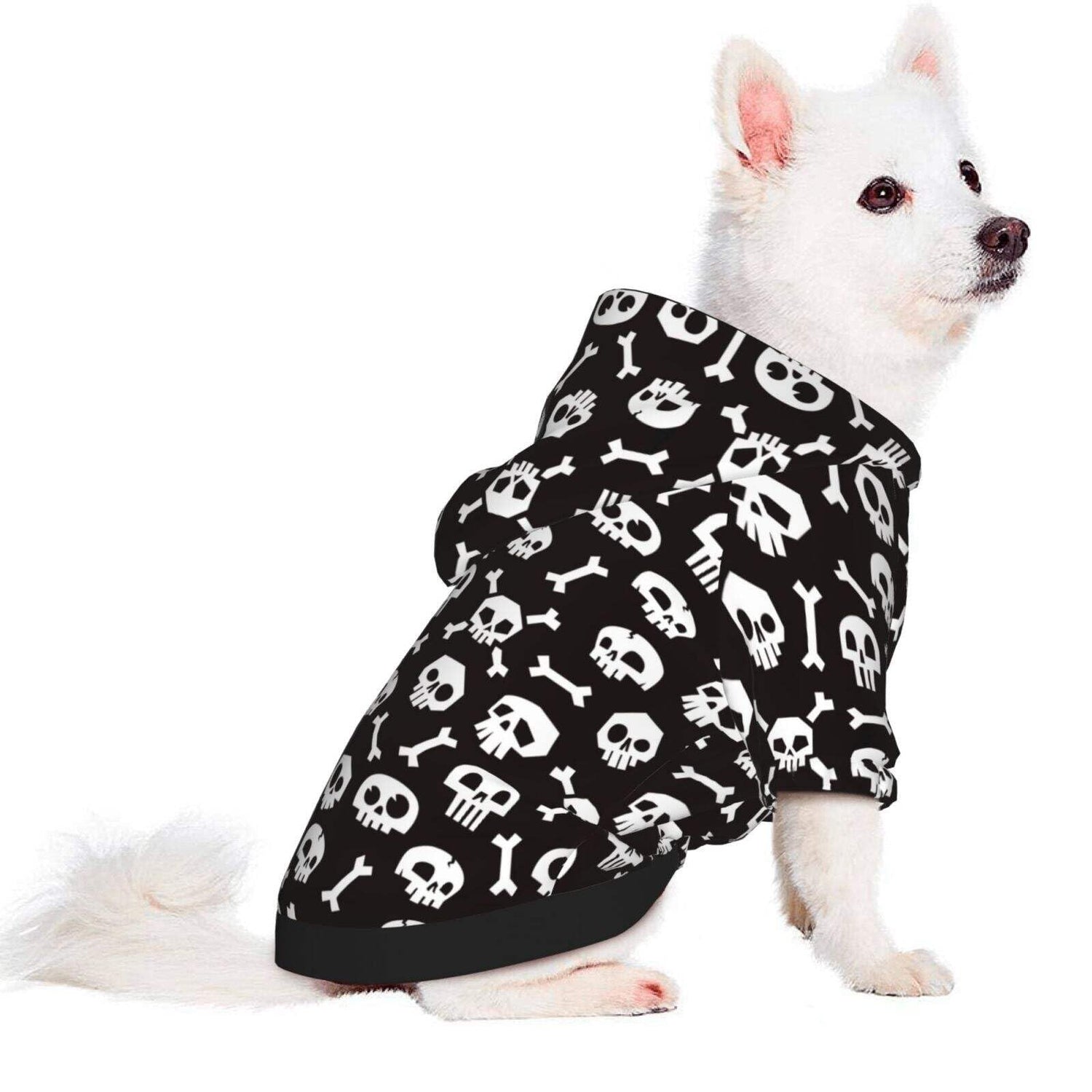 Costume And Apparel