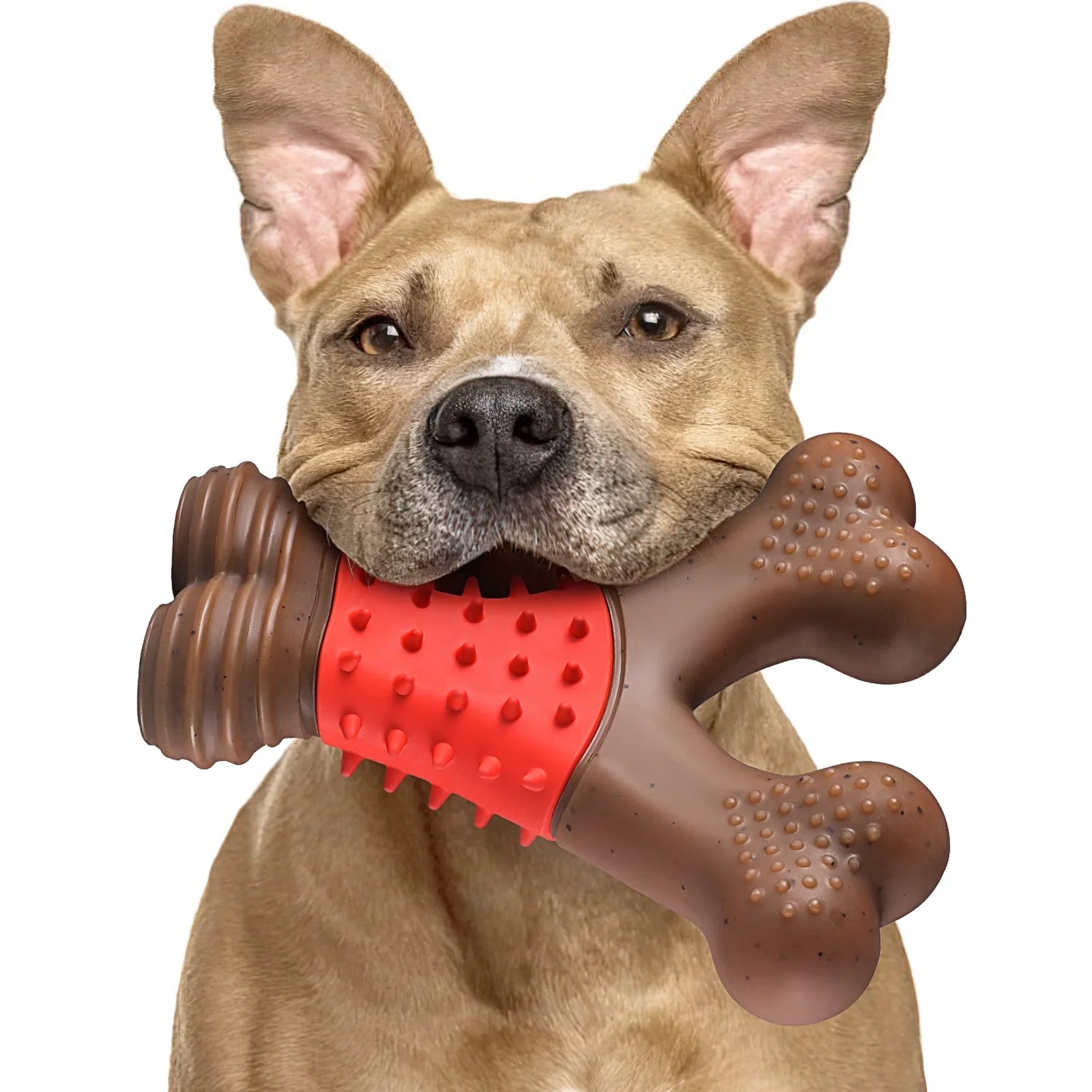 Chew Toys