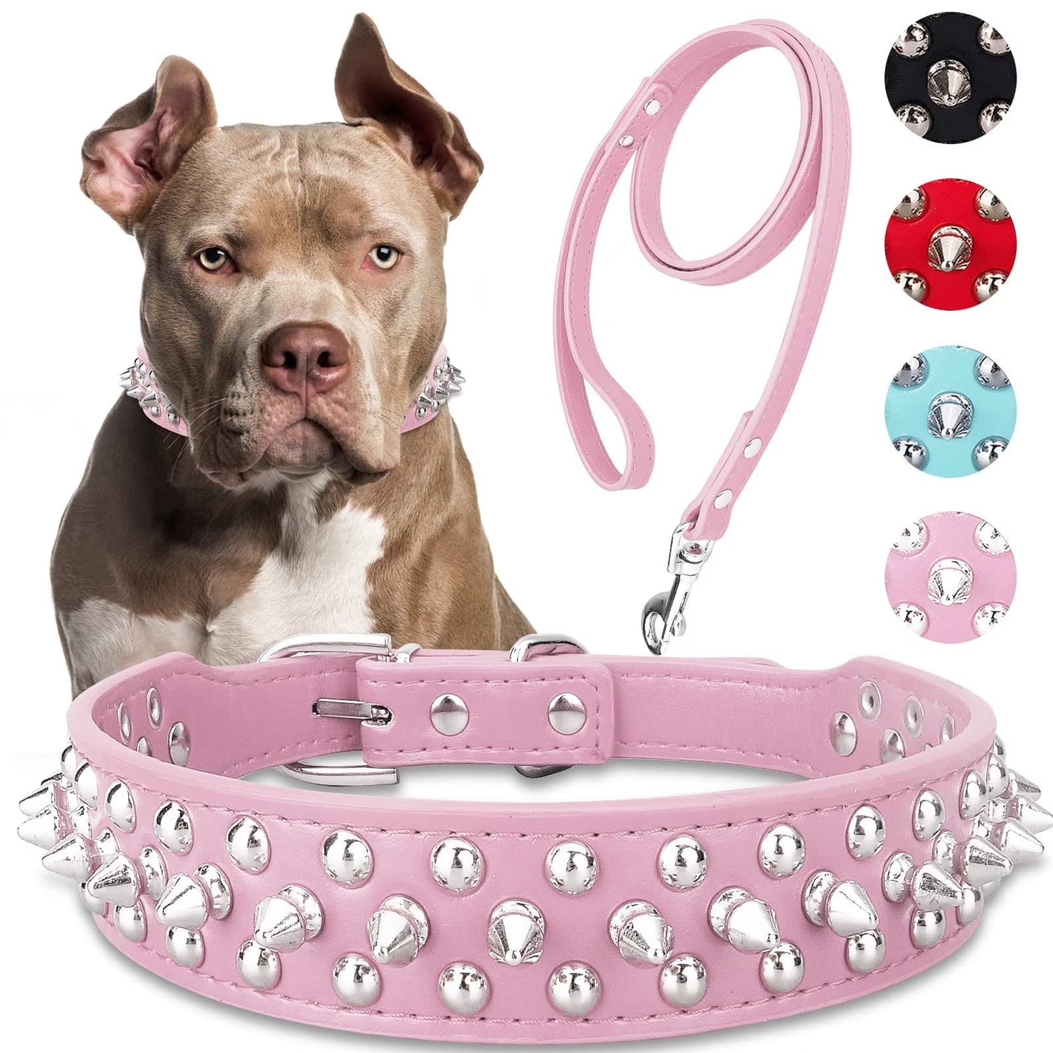 Collar And Leashes