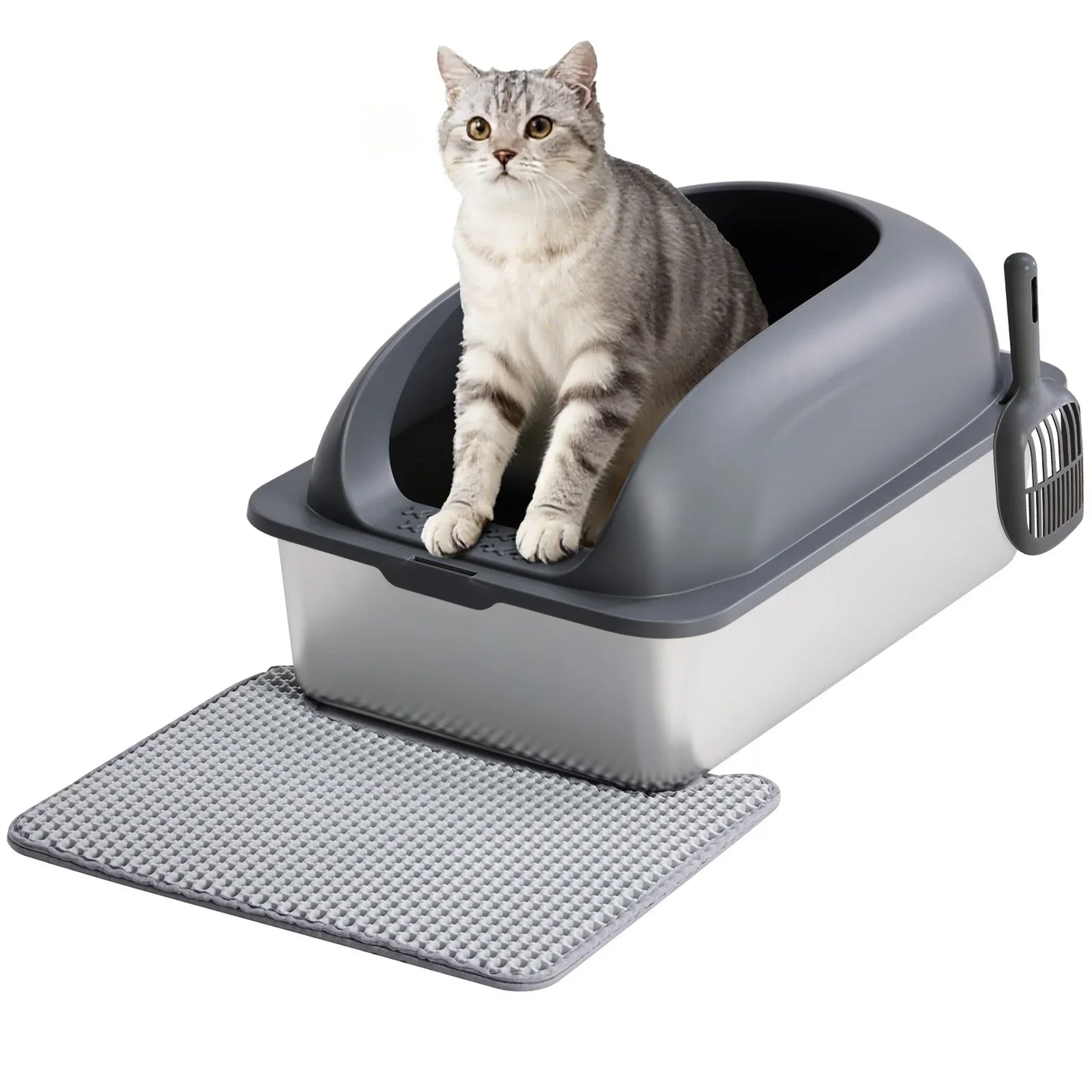 Litter Boxes