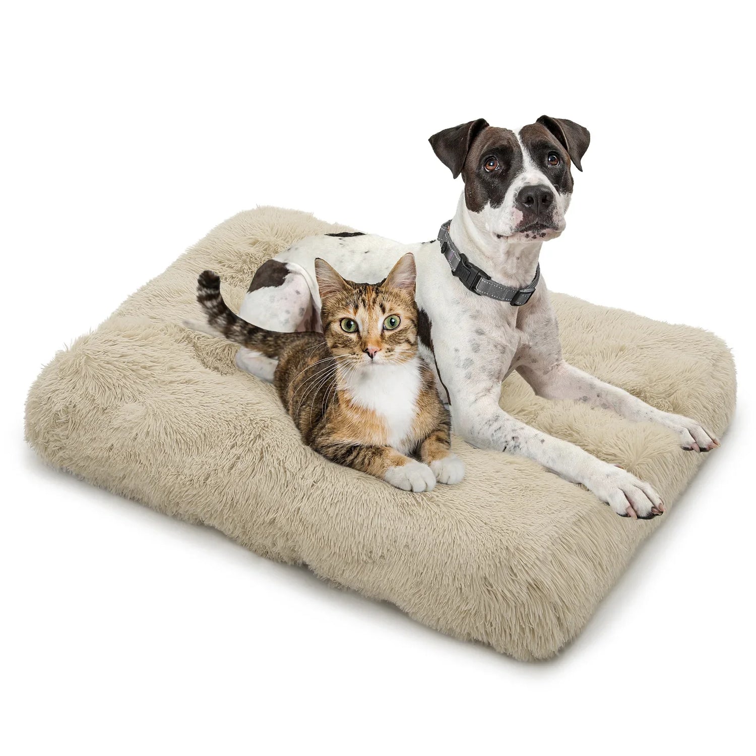 Pet Beds