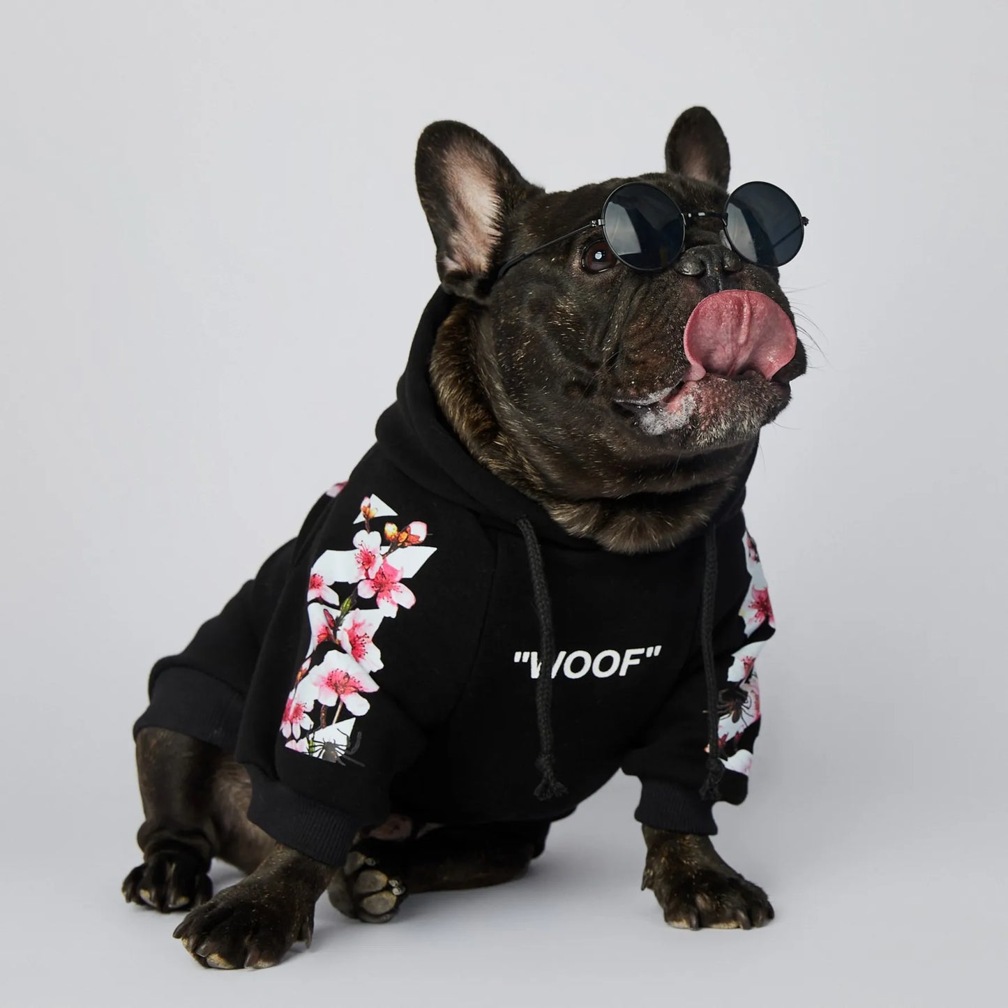 Woof Dog Hoodies M-3XL French Bull Dog Autumn Spring Clothing 2 Legged Warm Pet Outfit Sweaters