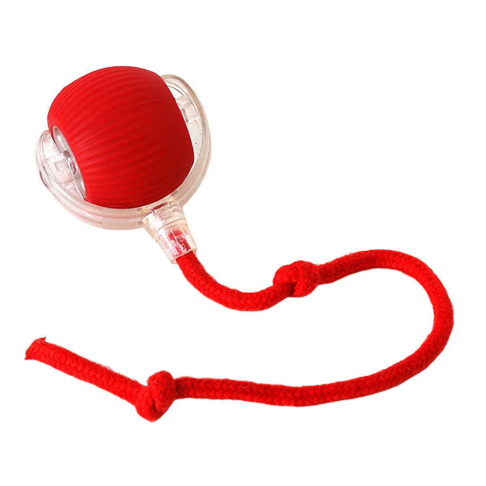 2PC/1PC Cat Interactive Ball Toys Automatic Rolling Ball Rechargeable Self Rotating Ball Fast Rolling Ball for Indoor Cat Kitten