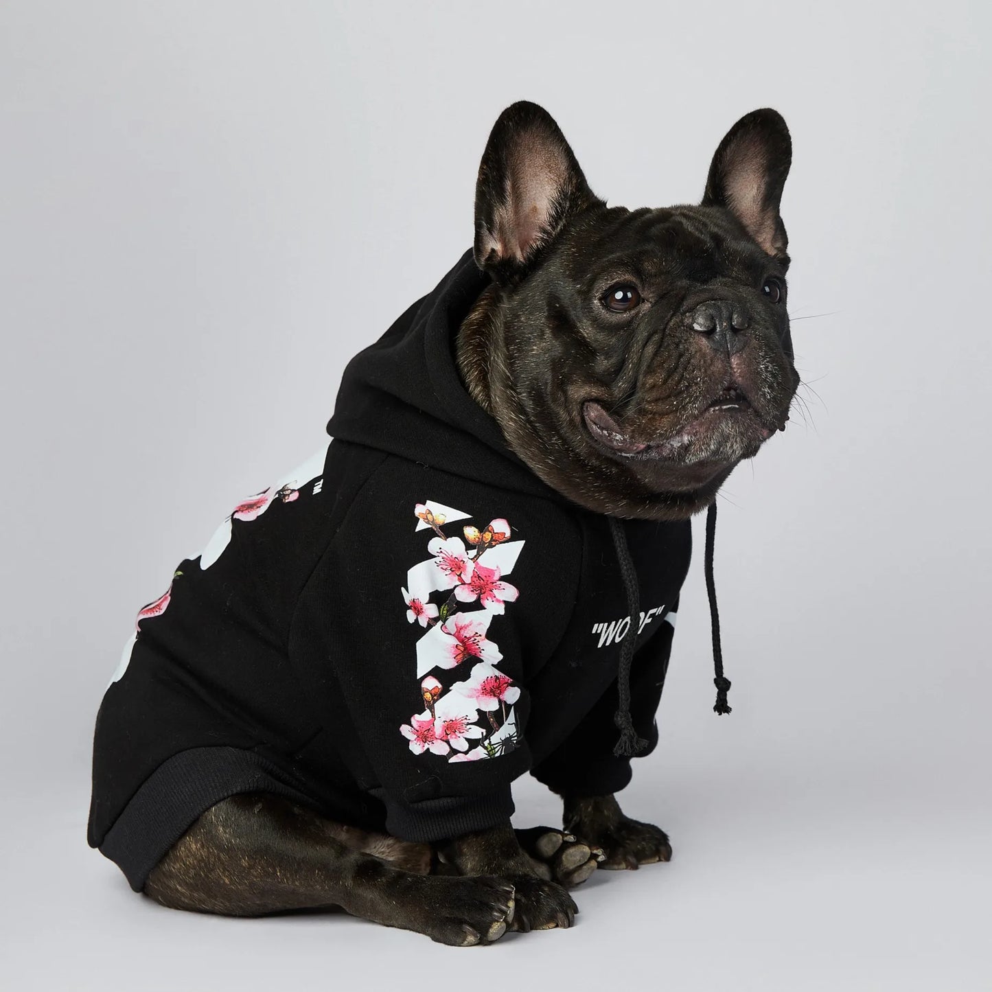 Woof Dog Hoodies M-3XL French Bull Dog Autumn Spring Clothing 2 Legged Warm Pet Outfit Sweaters