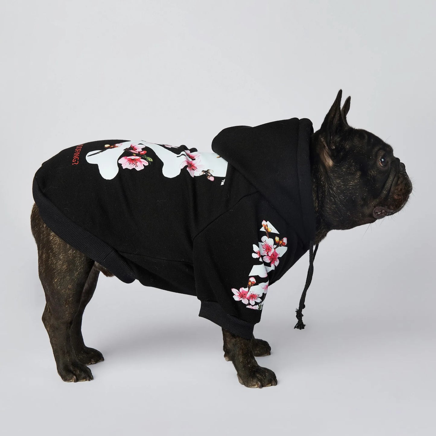 Woof Dog Hoodies M-3XL French Bull Dog Autumn Spring Clothing 2 Legged Warm Pet Outfit Sweaters